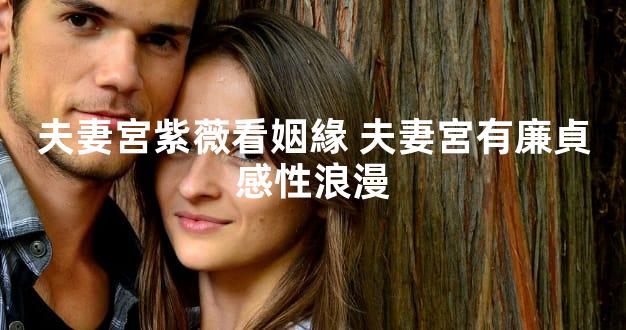 夫妻宮紫薇看姻緣 夫妻宮有廉貞感性浪漫